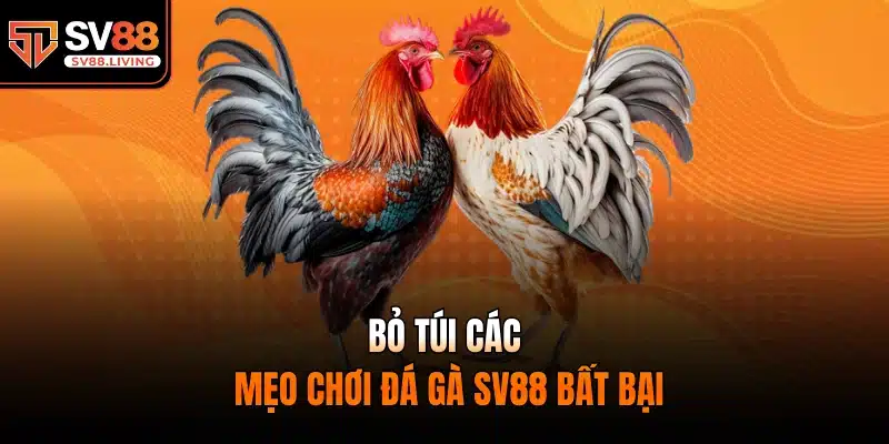 Bỏ túi các mẹo chơi đá gà SV88 bất bại