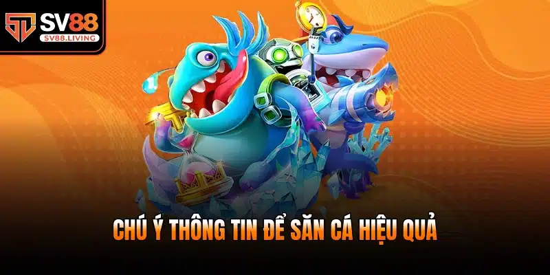 Chú ý thông tin để săn cá hiệu quả