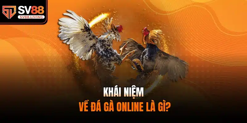 Khái niệm về đá gà online là gì?