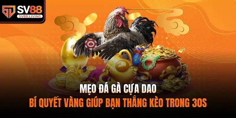 mẹo đá gà cựa dao