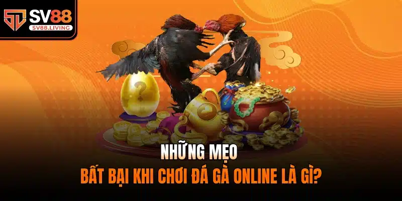 Những mẹo bất bại khi chơi đá gà online là gì?